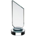 Clear Glass Award with a Round Base