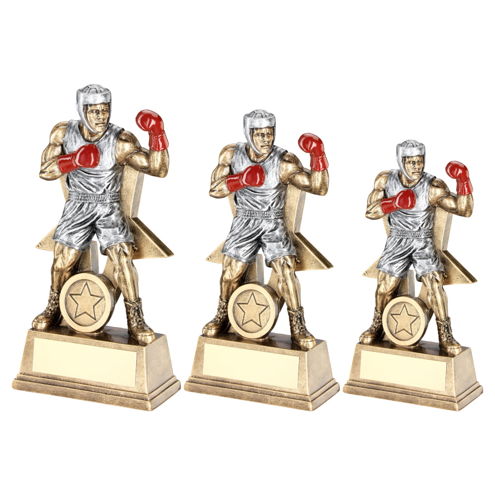 Male Boxing Figure Trophy with a Star Backing