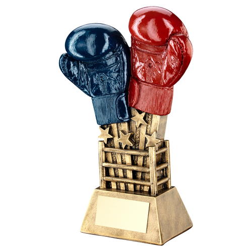 Star Burst Boxing Gloves & Ring Trophy