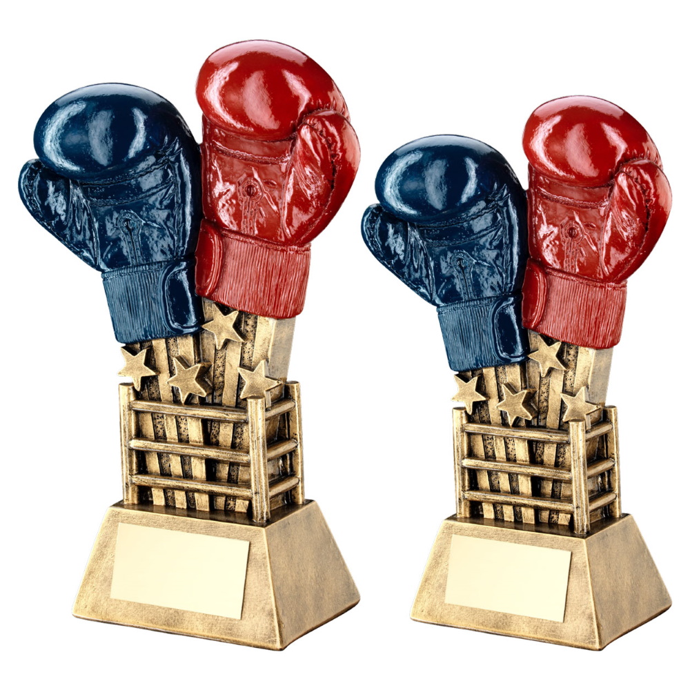 Star Burst Boxing Gloves & Ring Trophy