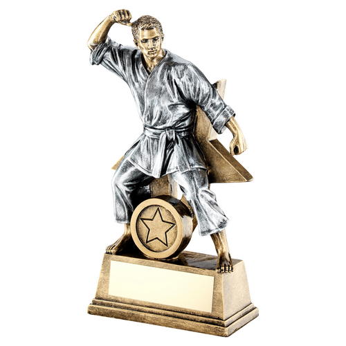 Male Martial Arts Figure Trophy with a Star Backing