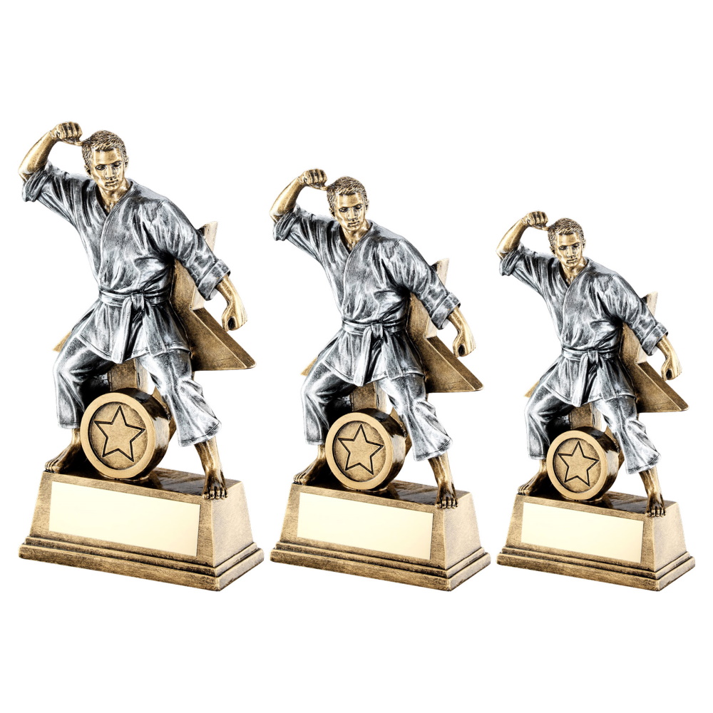 Male Martial Arts Figure Trophy with a Star Backing