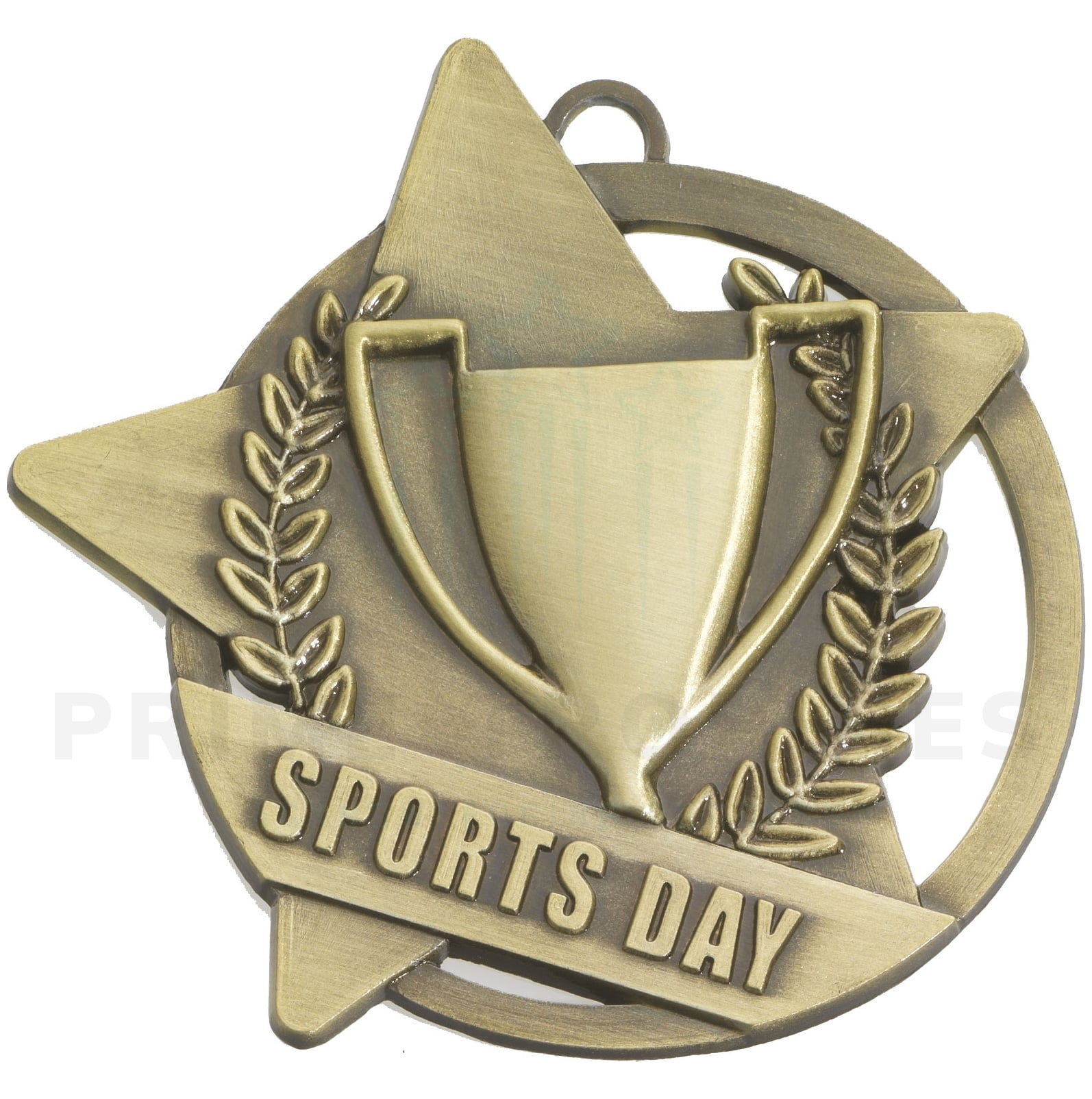 Sports Day Star Medal Gold