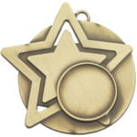 Versatile Star Medal in Gold