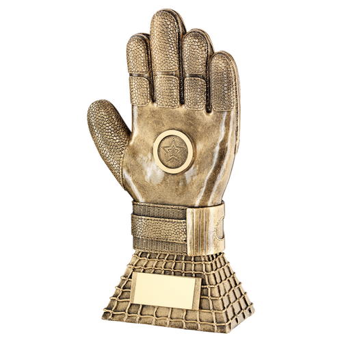 Football Goalkeeper Glove Trophy on Net Base