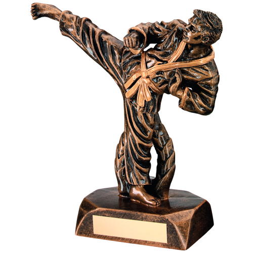 Resin Karate Figure Trophy