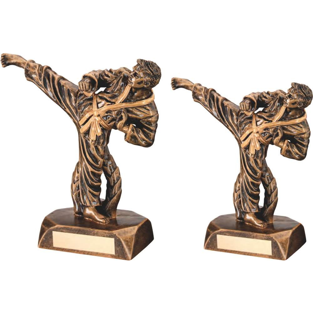 Resin Karate Figure Trophy