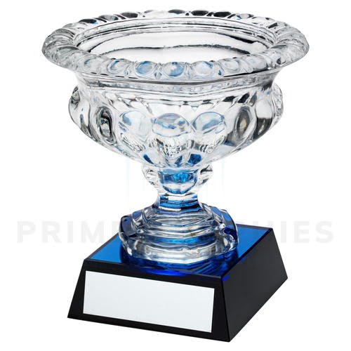 Clear Glass Bowl on Blue/Black Base Trophy