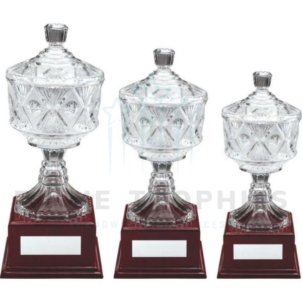 Clear Glass Cup on Wood Base Trophy