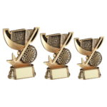 Hockey Trophy Cup Range