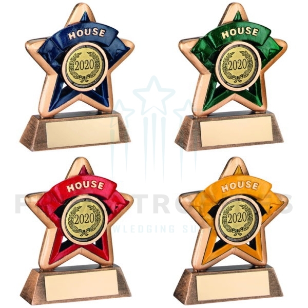 Mini Star House Colour School Trophy
