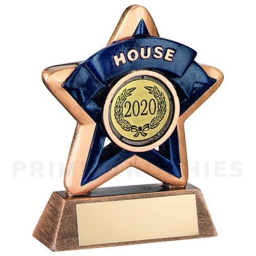 Mini Star House Colour School Trophy Blue