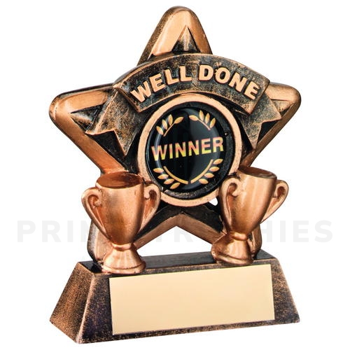 Mini Star Well Done School Trophy