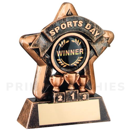 Mini Star Sports Day School Trophy
