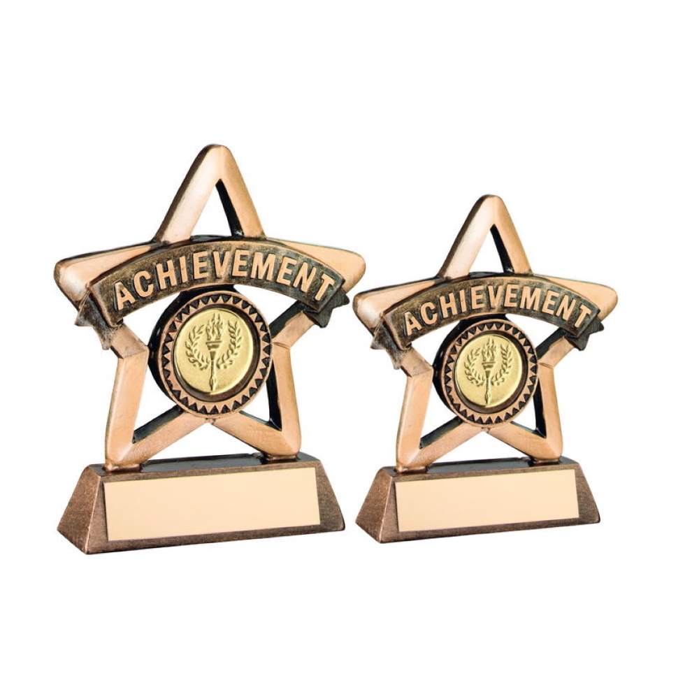 Mini Star Achievement School Trophy