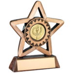 Versatile Mini Star School Trophy