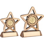 Versatile Mini Star School Trophy