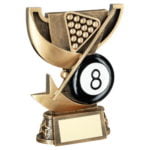 Bronze & Gold Cup Range Pool Trophy