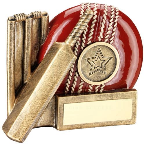 Great Value Chunky Cricket Ball and Bat Trophy