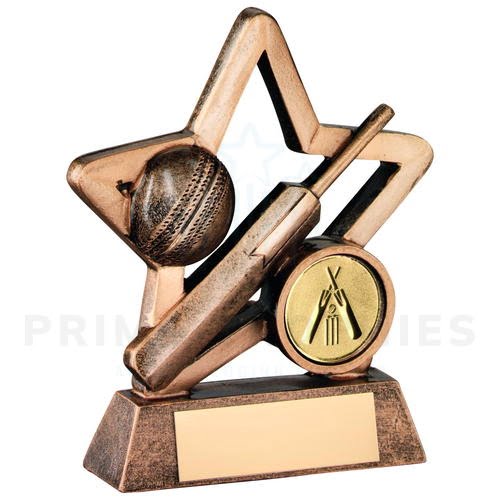 Mini Star Cricket Trophy