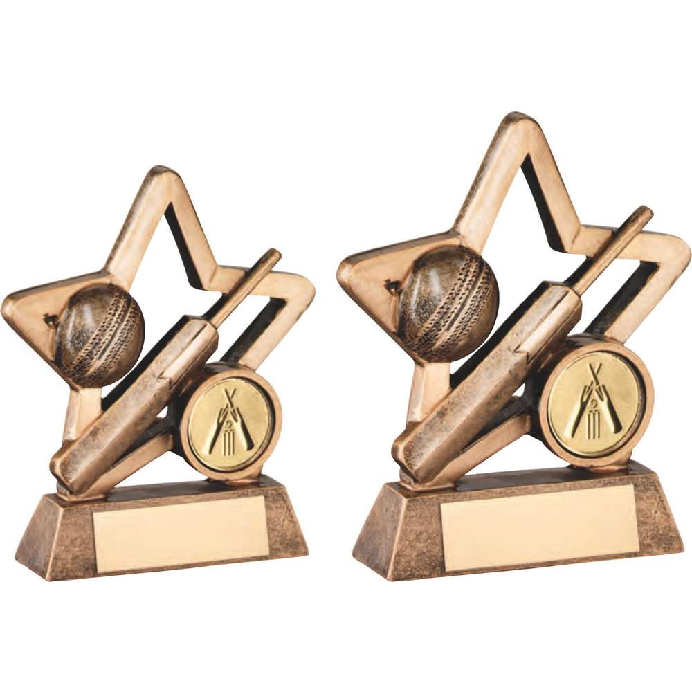 Mini Star Cricket Trophy