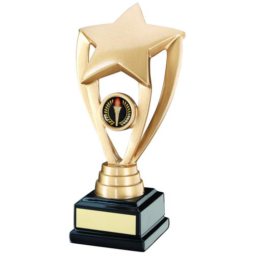 Fabulous Gold Shooting Star Versatile Trophy