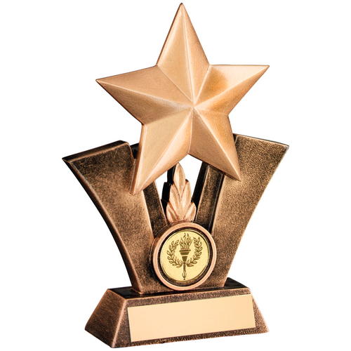 Bronze & Gold Generic Star Resin Trophy