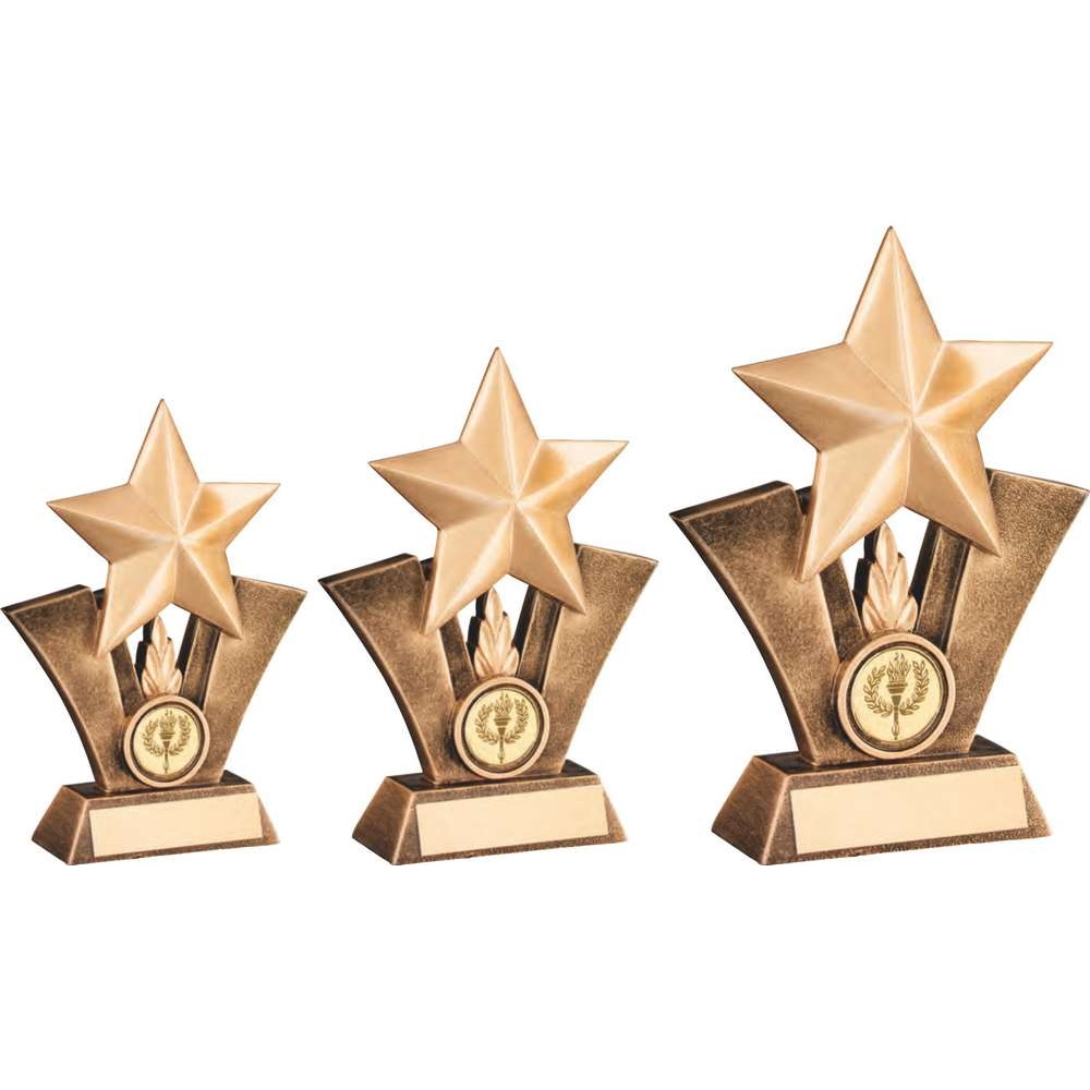 Bronze & Gold Generic Star Resin Trophy