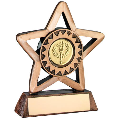 Versatile Mini Star Resin Trophy