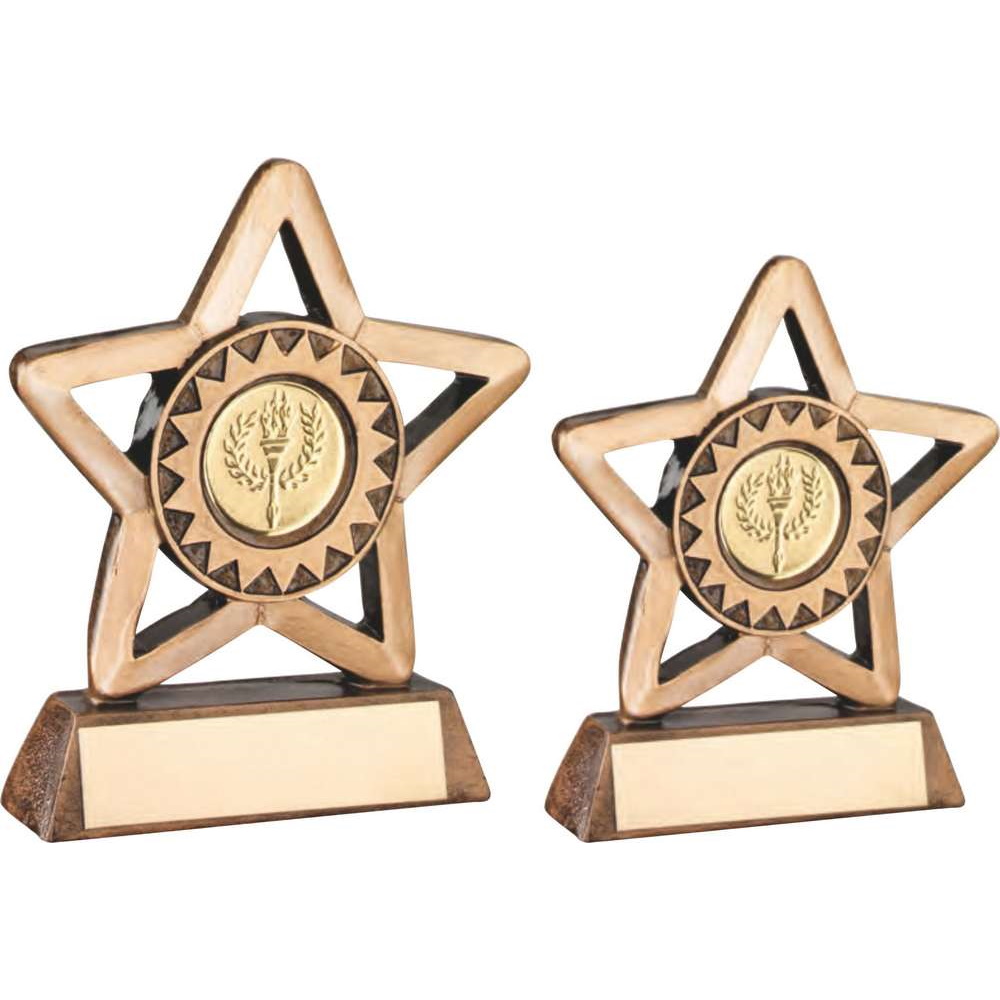 Versatile Mini Star Resin Trophy