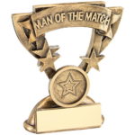 Resin Star Man of the Match Trophy