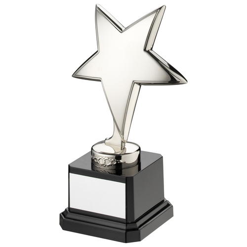 Silver Metal Star on a Black Base