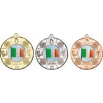 Irish Four Provinces Medal with a Changeable Centre