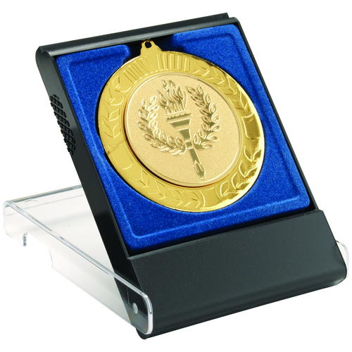 Large Plastic Medal Box with a Lid