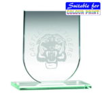 Great Value Shield Jade Glass Award