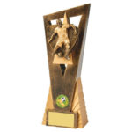 Edge Male Footballer Trophy