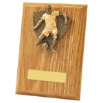 Wood Plaque with Male Footballer Trim