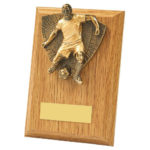 Wood Plaque with Male Footballer Trim