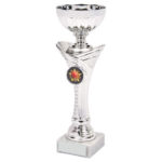 Trophy Cup on Marble Base