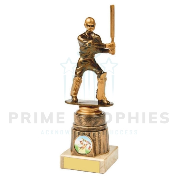 Batsman Column Cricket Award