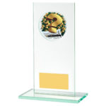 Build Your Own Rectangular Glass Trophy with Coloured Centre