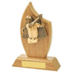 Wooden Tear Male Golfer Golf Trophy