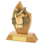 Wooden Tear Male Golfer Golf Trophy