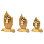 Wooden Tear Male Golfer Golf Trophy