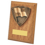 Wood Plaque with Assistant Referee Trim