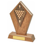 Wooden Edge Pool & Snooker Trophy