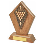 Wooden Edge Pool & Snooker Trophy