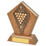 Wooden Edge Pool & Snooker Trophy