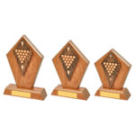 Wooden Edge Pool & Snooker Trophy