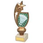 Shooting Star Badminton Trophy